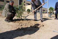 گزارش تصویری مراسم روز درخت کاری و تقدیر از نیروهای باغبانی دانشگاه